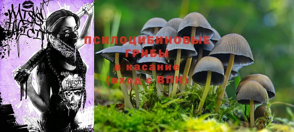 индика Бежецк