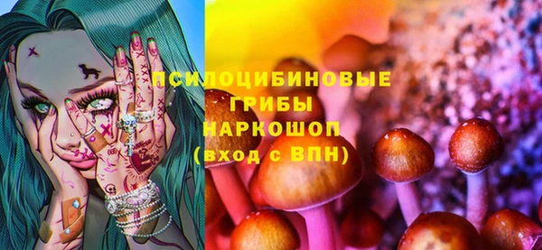 прущий лед Карпинск