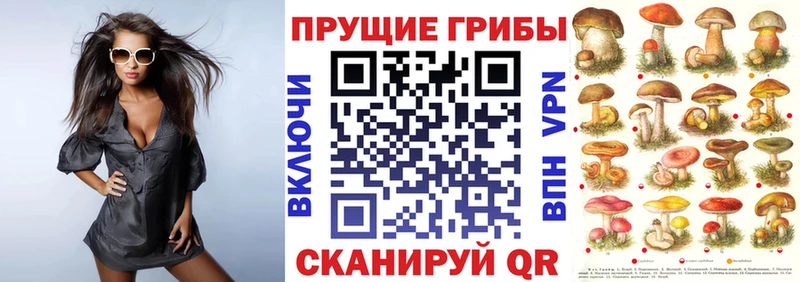Псилоцибиновые грибы мухоморы  купить наркотики сайты  Кизилюрт 